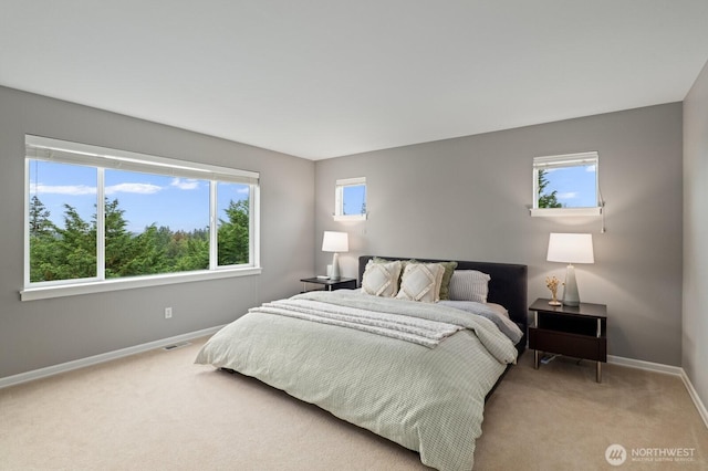 8829 138th Ct SE, Newcastle, WA 98059 - bedroom with multiple windows and light colored carpet
