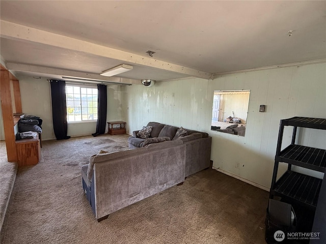 1309 29th St, Anacortes, WA 98221 - carpeted living room with wood walls