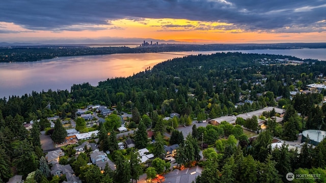 4405 88th Ave SE, Mercer Island, WA 98040 - aerial view of property's location with a nearby body of water and a forest