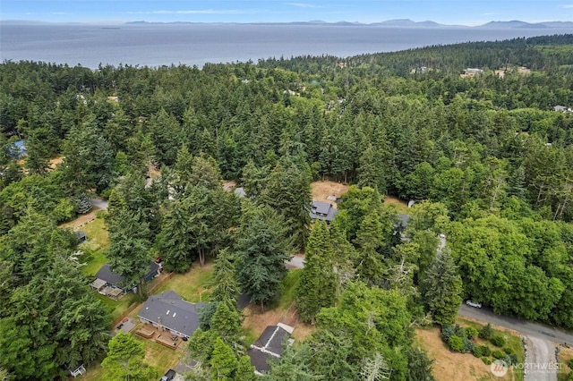 2253 Wellman Pl, Oak Harbor, WA 98277 - aerial overview of property's location with a forest and a mountain backdrop