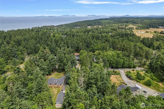 2253 Wellman Pl, Oak Harbor, WA 98277 - aerial view of property's location with a heavily wooded area and a water and mountain view