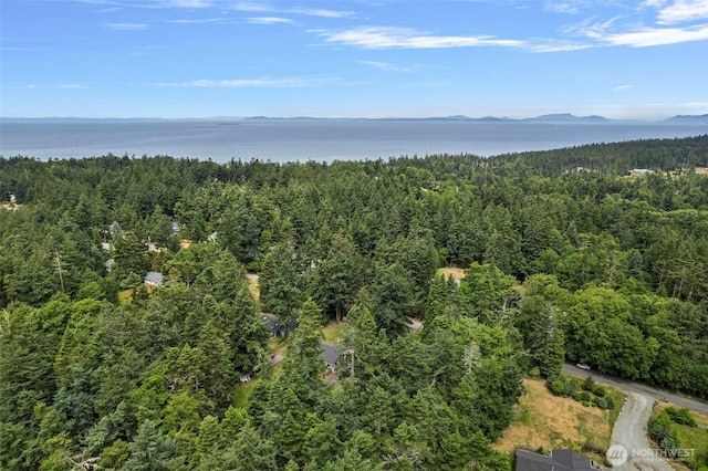 2253 Wellman Pl, Oak Harbor, WA 98277 - aerial view of a heavily wooded area and a water and mountain view