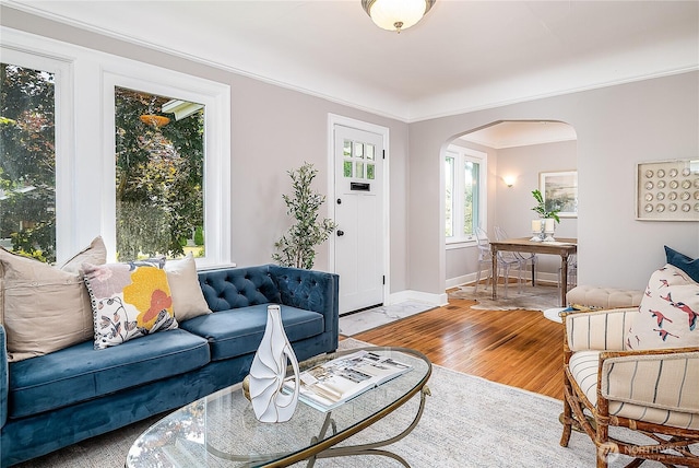 8047 Earl Ave NW, Seattle, WA 98117 - living room featuring arched walkways, light wood-style floors, and crown molding