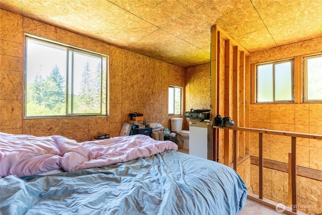 1884 Dowans Creek Rd, Forks, WA 98331 - bedroom with multiple windows