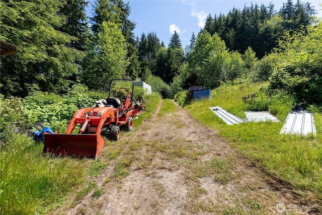 1884 Dowans Creek Rd, Forks, WA 98331 - view of yard