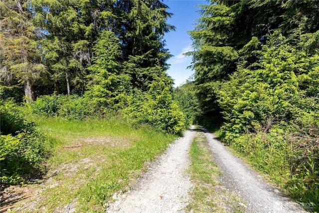1884 Dowans Creek Rd, Forks, WA 98331 - view of street with a forest view
