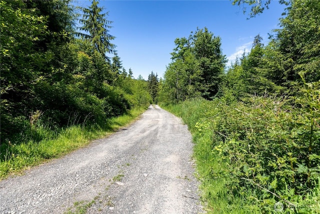 1884 Dowans Creek Rd, Forks, WA 98331 - view of dirt / gravel road featuring a forest view