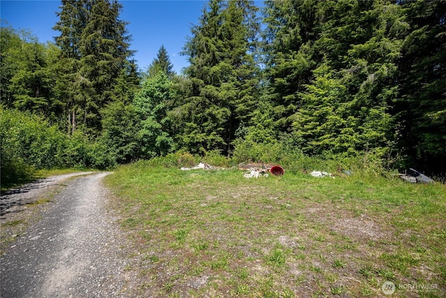 1884 Dowans Creek Rd, Forks, WA 98331 - view of yard featuring a wooded view