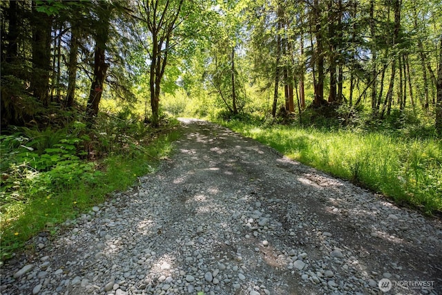 1884 Dowans Creek Rd, Forks, WA 98331 - view of street with a forest view