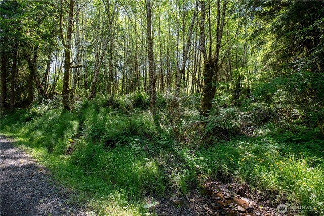 1884 Dowans Creek Rd, Forks, WA 98331 - view of woods