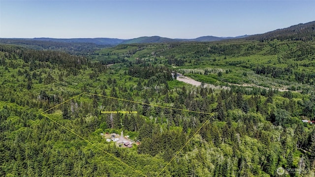 1884 Dowans Creek Rd, Forks, WA 98331 - aerial view of property's location featuring property parcel outlined and mountains