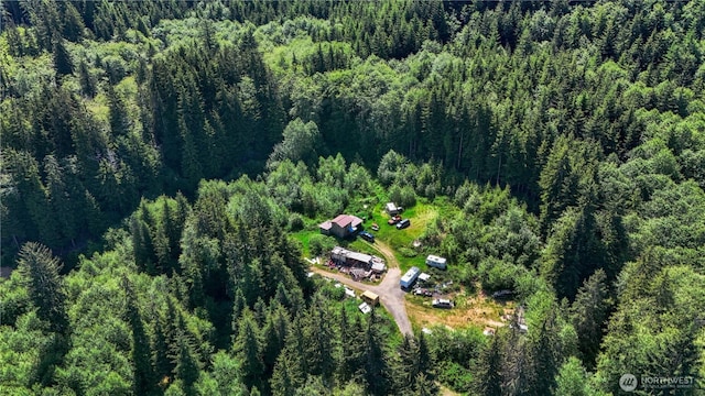 1884 Dowans Creek Rd, Forks, WA 98331 - view of property location featuring a forest