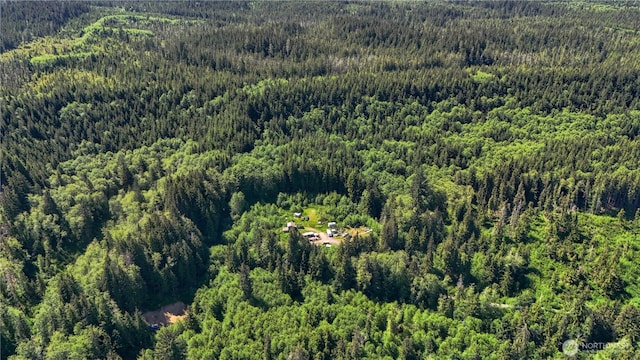 1884 Dowans Creek Rd, Forks, WA 98331 - aerial overview of property's location with a forest