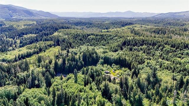 1884 Dowans Creek Rd, Forks, WA 98331 - aerial view of a forest and mountains