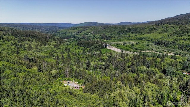 1884 Dowans Creek Rd, Forks, WA 98331 - view of mountain backdrop featuring a heavily wooded area