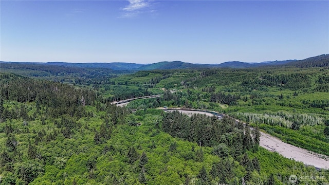 1884 Dowans Creek Rd, Forks, WA 98331 - aerial view of a forest and mountains