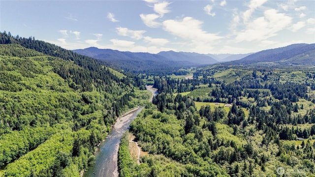 1884 Dowans Creek Rd, Forks, WA 98331 - bird's eye view of a forest and a mountain backdrop