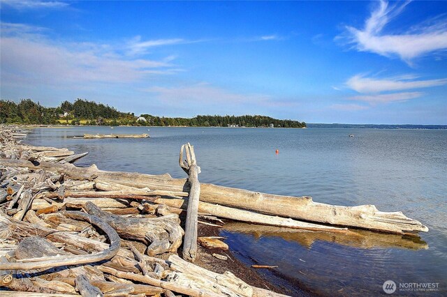 775 Livingston Bay Shore Dr, Camano Island, WA 98282 - photo 33