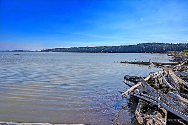 775 Livingston Bay Shore Dr, Camano Island, WA 98282 - photo 34
