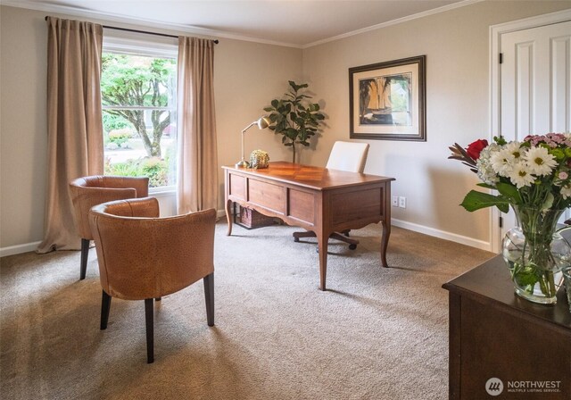 4546 193rd Pl SE, Issaquah, WA 98027 - carpeted office space with baseboards and crown molding