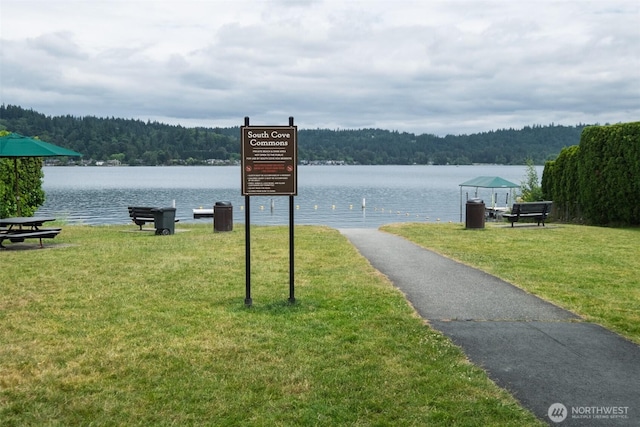 4546 193rd Pl SE, Issaquah, WA 98027 - water view with a forest