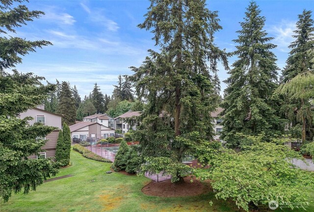 12617 NE 130th Way Unit E303, Kirkland, WA 98034 - view of green lawn
