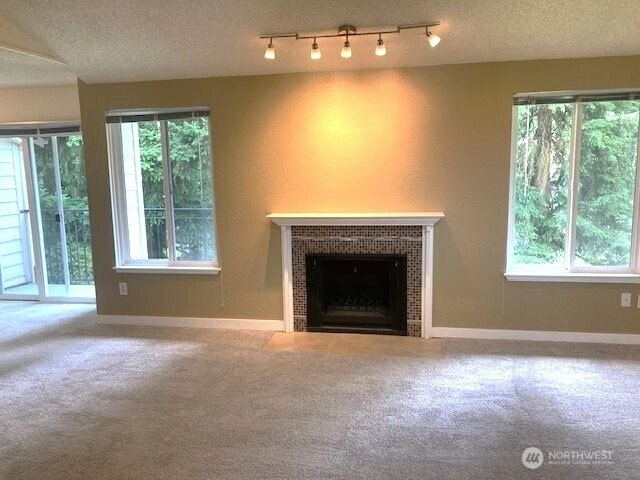 12617 NE 130th Way Unit E303, Kirkland, WA 98034 - unfurnished living room with carpet, healthy amount of natural light, a fireplace with flush hearth, and a textured ceiling