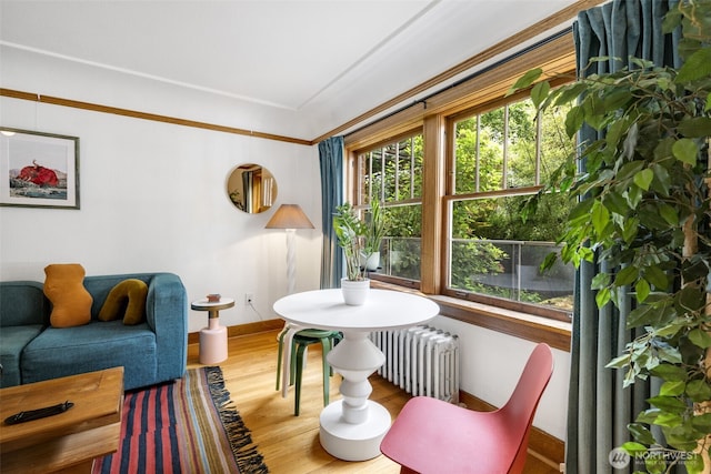 1631 16th Ave Unit 114, Seattle, WA 98122 - living room with radiator heating unit and wood finished floors
