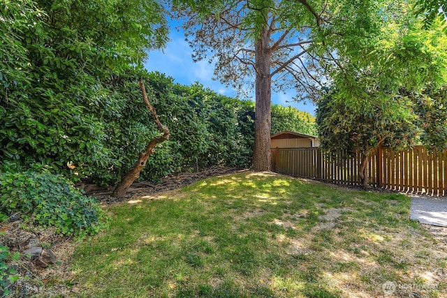 4754 46th Ave NE, Seattle, WA 98105 - view of yard