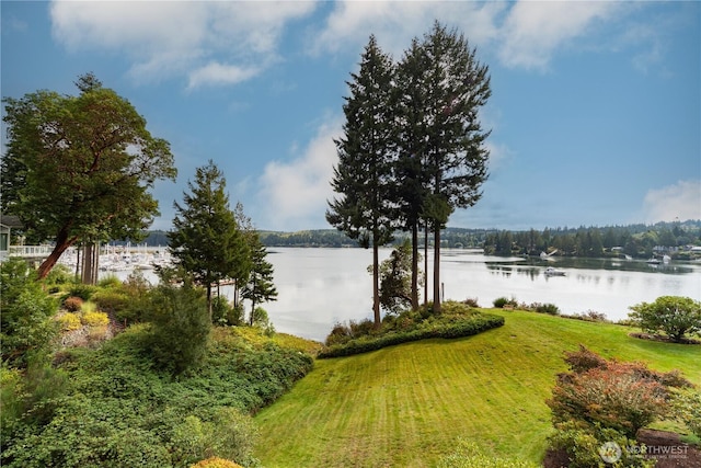 41 N Bay Ln Unit 3, Port Ludlow, WA 98365 - water view