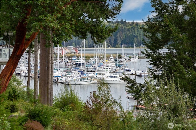 41 N Bay Ln Unit 3, Port Ludlow, WA 98365 - water view featuring numerous boat docks