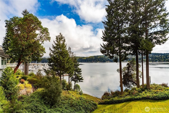 41 N Bay Ln Unit 3, Port Ludlow, WA 98365 - water view