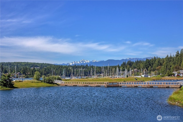 41 N Bay Ln Unit 3, Port Ludlow, WA 98365 - water view with a mountain backdrop and a forest