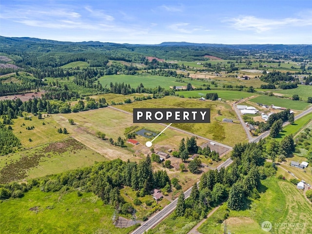 1608 State Route 6, Raymond, WA 98577 - overview of rural landscape featuring a mountain backdrop