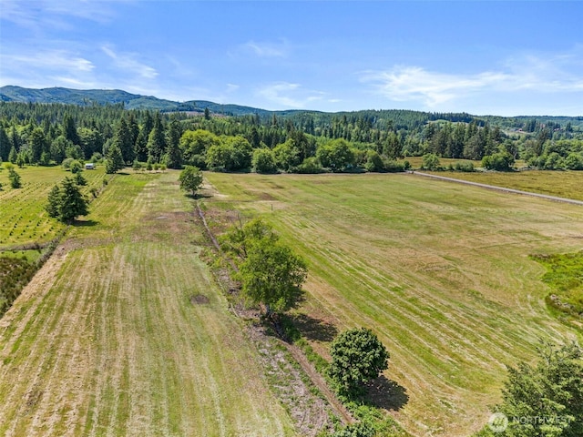 1608 State Route 6, Raymond, WA 98577 - aerial view of sparsely populated area with a mountainous background