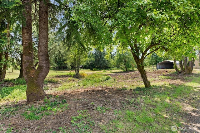 1608 State Route 6, Raymond, WA 98577 - view of yard featuring a carport