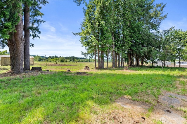 1608 State Route 6, Raymond, WA 98577 - view of yard