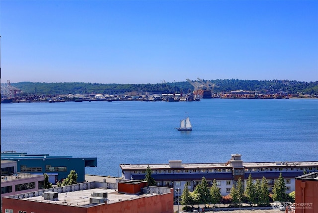 80 Vine St Unit 703, Seattle, WA 98121 - photo 23
