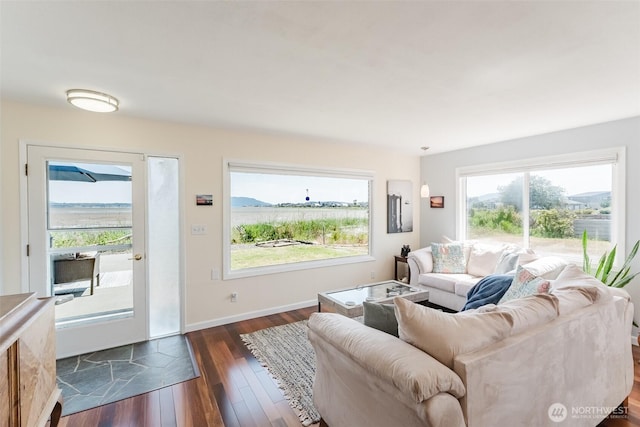 4452 Saltspring Dr, Ferndale, WA 98248 - living room featuring dark wood-type flooring and plenty of natural light
