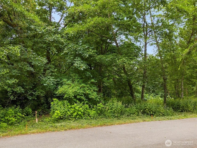 304 Dove Dr, Camano Island, WA 98282