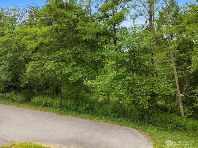 304 Dove Dr, Camano Island, WA 98282