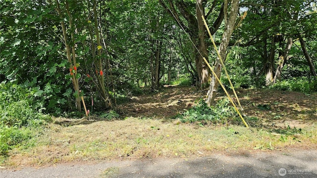 304 Dove Dr, Camano Island, WA 98282