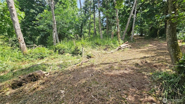 304 Dove Dr, Camano Island, WA 98282