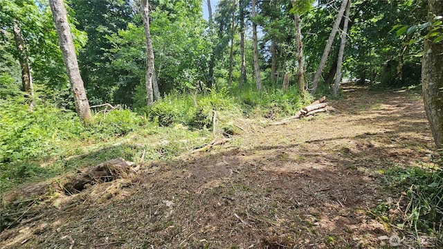304 Dove Dr, Camano Island, WA 98282