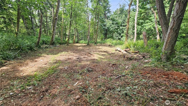 304 Dove Dr, Camano Island, WA 98282