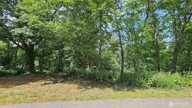 304 Dove Dr, Camano Island, WA 98282