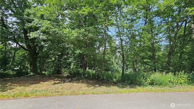 304 Dove Dr, Camano Island, WA 98282