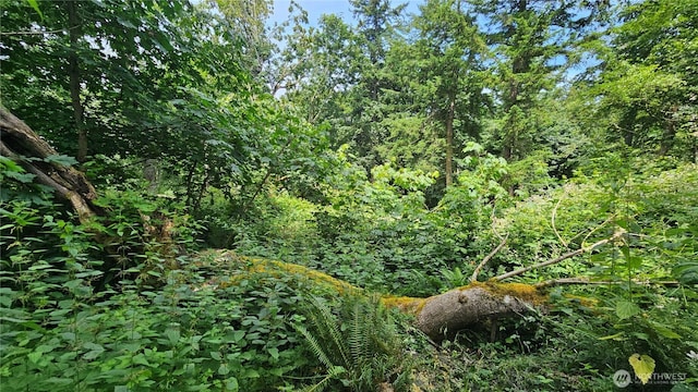 304 Dove Dr, Camano Island, WA 98282