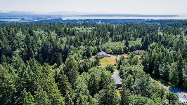 441 Windsun Way, Camano Island, WA 98282 - photo 40