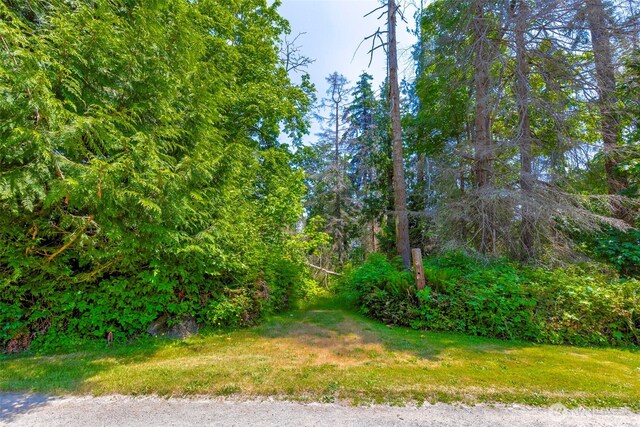 20818 President Point Rd NE, Kingston, WA 98346 - photo 17